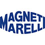 программное удаление ЕГР ЭБУ Magneti Marelli